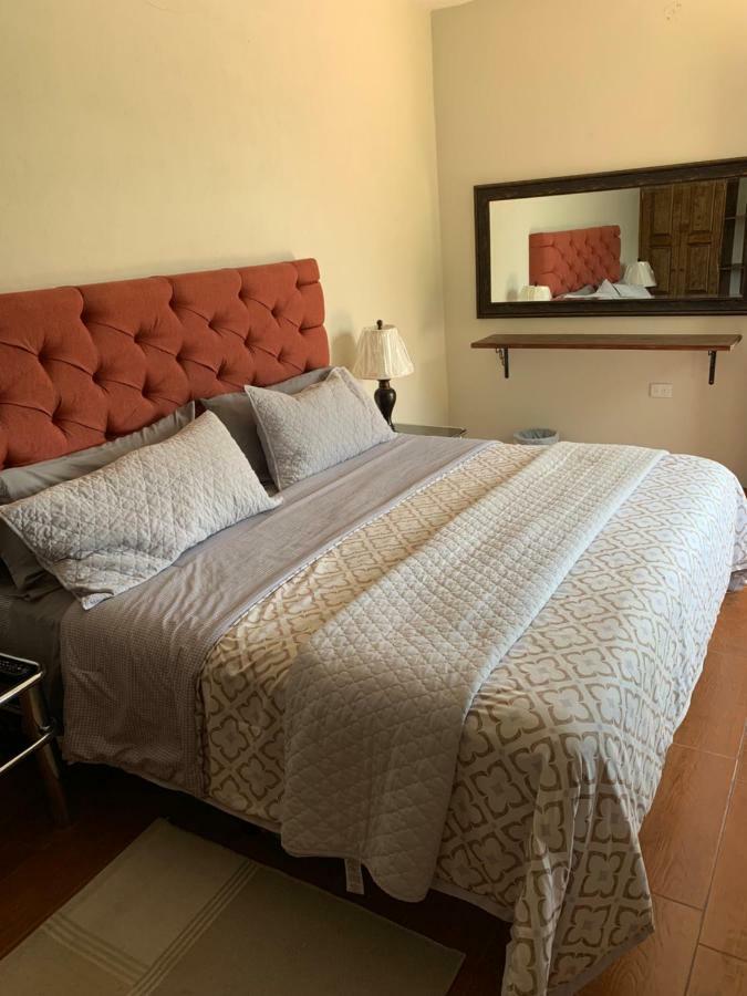 Habitación Estándar - 1 cama extragrande