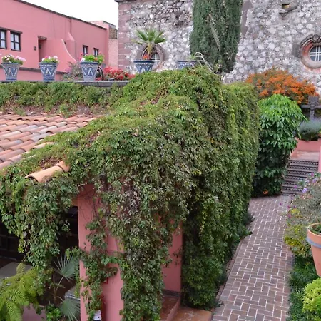 Hotel Casa Rosada - Adults Only-3