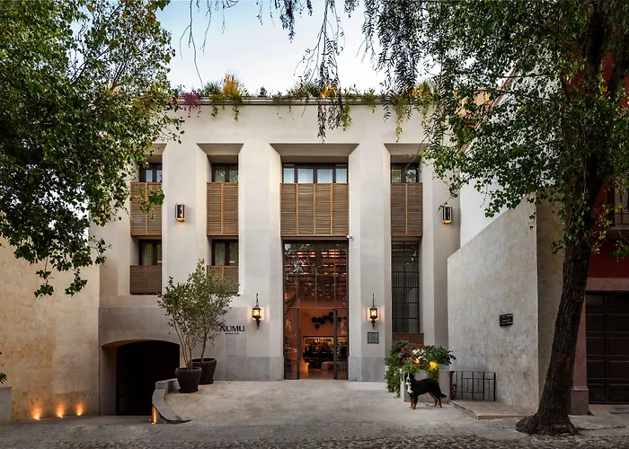 Numu Boutique Hotel, The Unbound Collection By Hyatt San Miguel de Allende